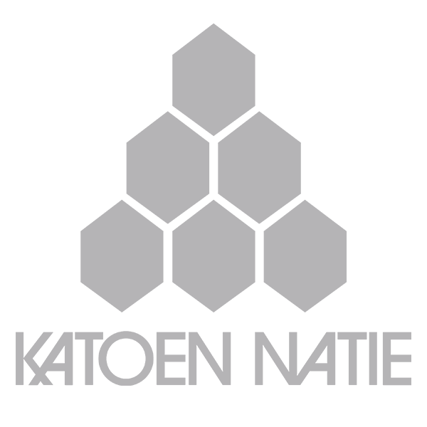 logo of katoen natie company